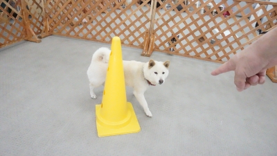 DSC07420.JPG