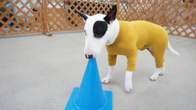 DSC07428.JPG