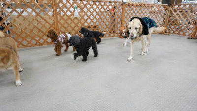 DSC07444.JPG