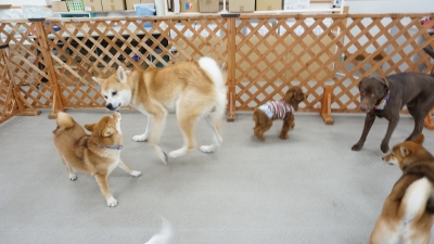 DSC07457.JPG
