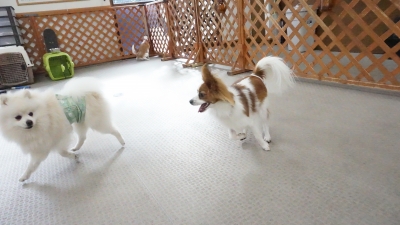 DSC07487.JPG