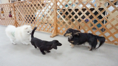 DSC07495.JPG