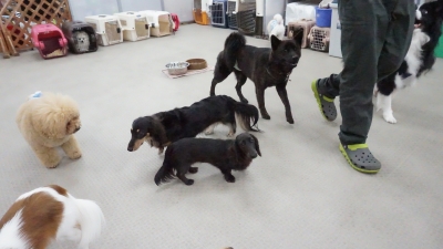 DSC07503.JPG