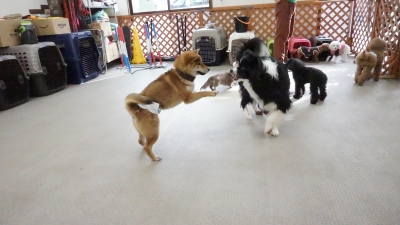 DSC07540.JPG