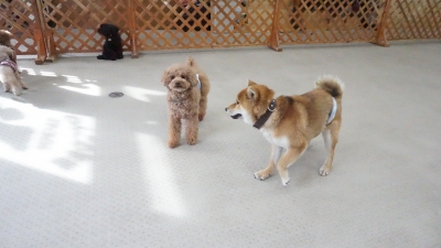 DSC07541.JPG