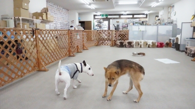DSC07545.JPG