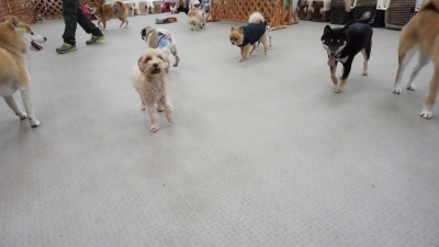 DSC07577.JPG