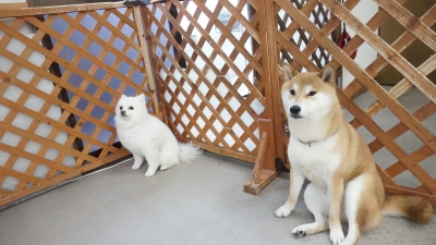 DSC07593.JPG