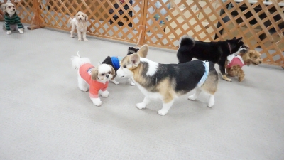 DSC07596.JPG