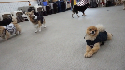DSC07604.JPG