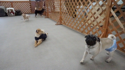 DSC07605.JPG