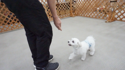 DSC07622.JPG