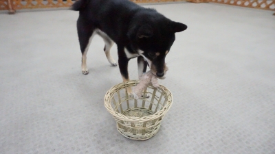 DSC07636.JPG