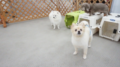 DSC07780.JPG