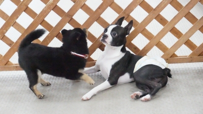 DSC07785.JPG