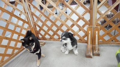 DSC07794.JPG