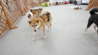 DSC07835.JPG
