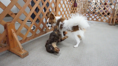DSC07874.JPG