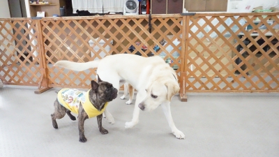 DSC07895.JPG