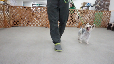 DSC07917.JPG