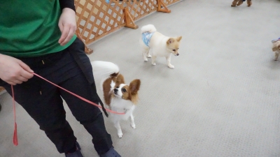 DSC07920.JPG