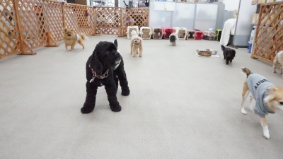 DSC07944.JPG