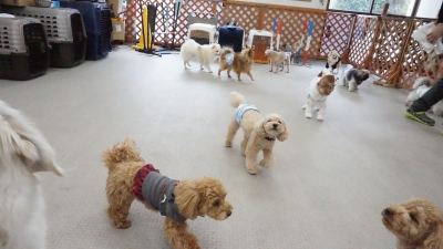DSC07964.JPG