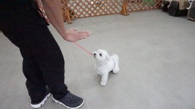 DSC07969.JPG