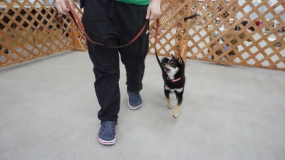 DSC07970.JPG