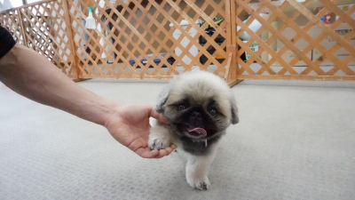 DSC07995.JPG