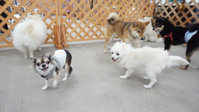 DSC00926.JPG