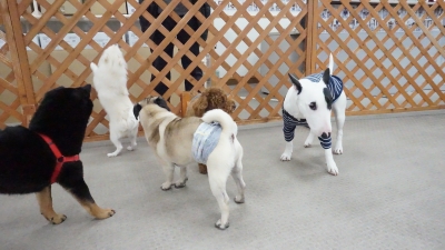DSC00934.JPG