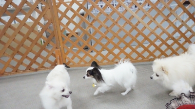 DSC00944.JPG