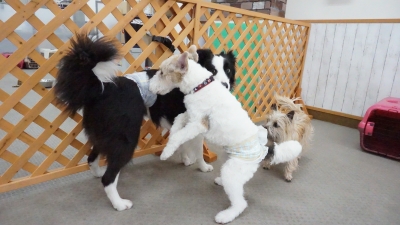 DSC01026.JPG