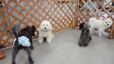 DSC01029.JPG
