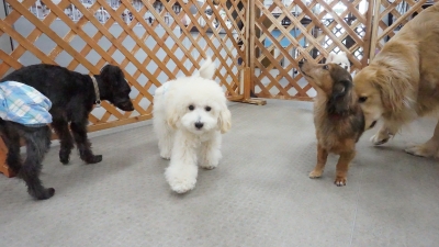 DSC01030.JPG