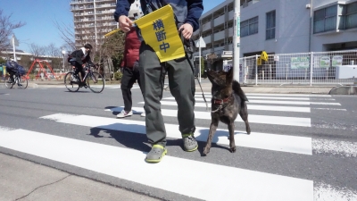 DSC01042.JPG