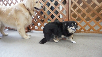 DSC01069.JPG