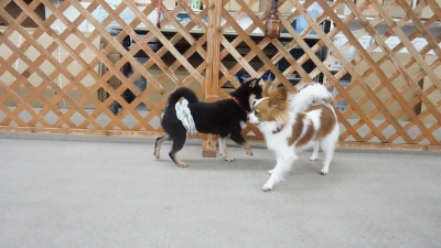 DSC01094.JPG