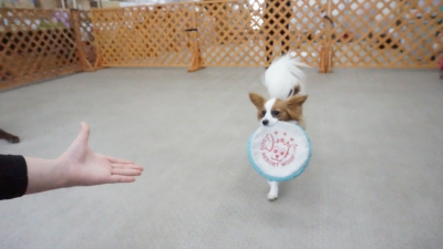 DSC01103.JPG
