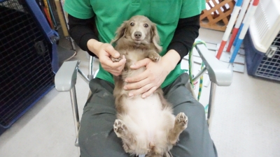 DSC01177.JPG