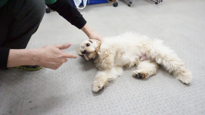 DSC01179.JPG