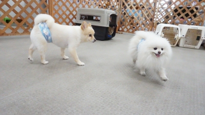DSC01210.JPG