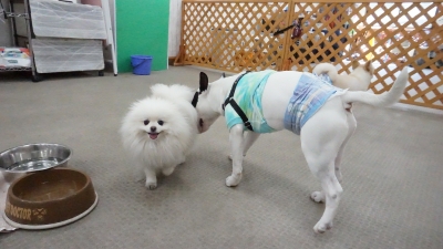 DSC01211.JPG