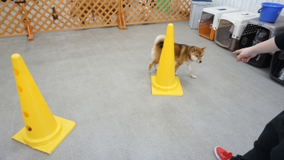 DSC01224.JPG