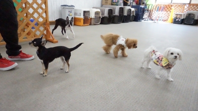 DSC01275.JPG