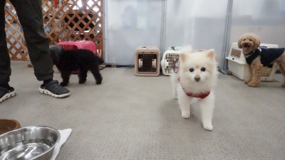 DSC01317.JPG