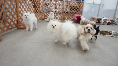 DSC01319.JPG