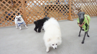 DSC01334.JPG