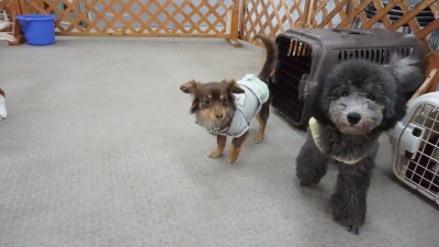 DSC01408.JPG